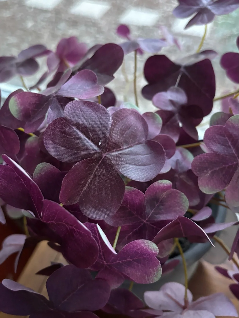 Threshold Deep Purple Oxalis Faux Plant in Black Ceramic Pot NWT